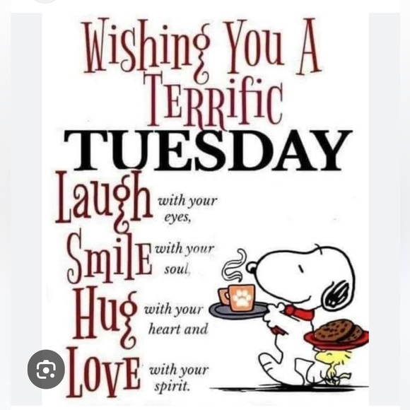 👗👗VINTAGE SHOW -FRI OCT 31 8am Cashmere Wool Silk Linen👗👗 - Picture 8 of 16